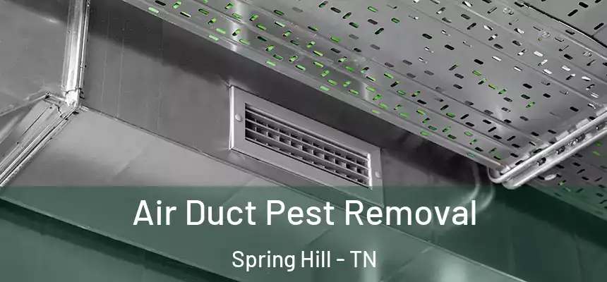 Air Duct Pest Removal Spring Hill - TN