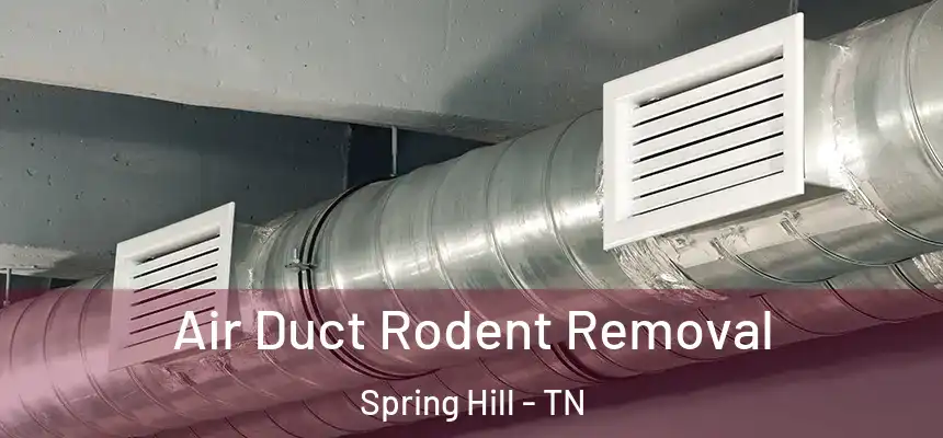  Air Duct Rodent Removal Spring Hill - TN