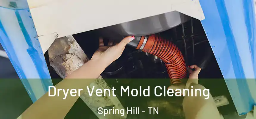  Dryer Vent Mold Cleaning Spring Hill - TN