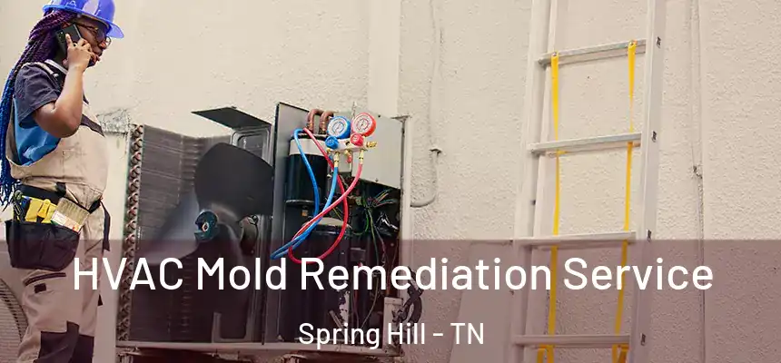  HVAC Mold Remediation Service Spring Hill - TN