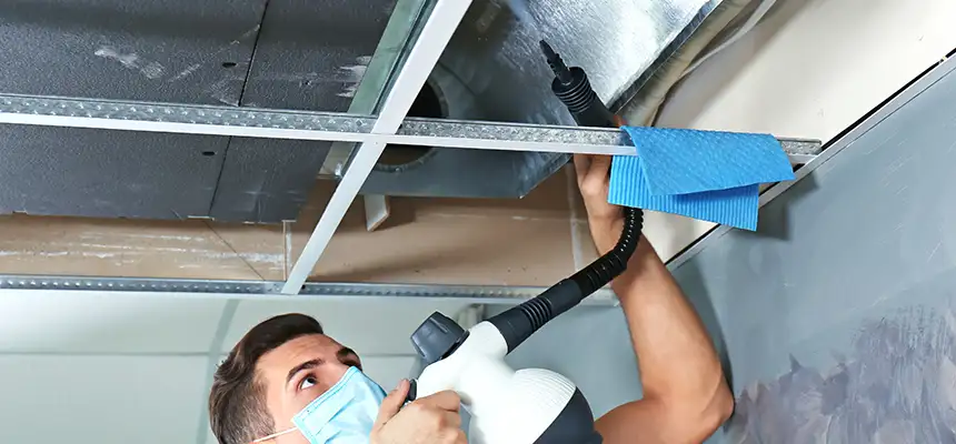 Our Air Duct Rodent Removal Services in Spring Hill, TN