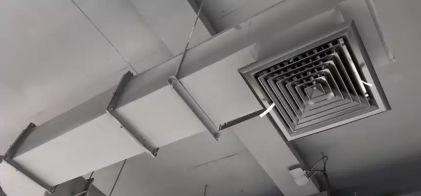 Our Pest Removal From Ducts Services in Spring Hill, TN