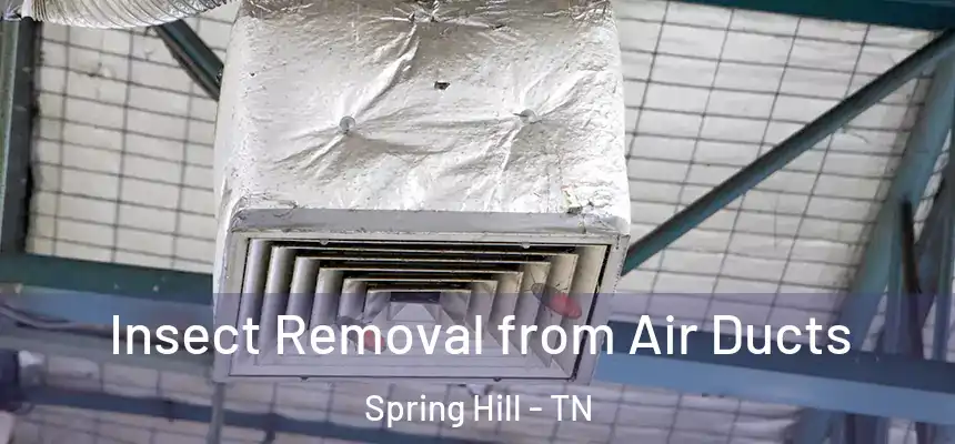  Insect Removal from Air Ducts Spring Hill - TN