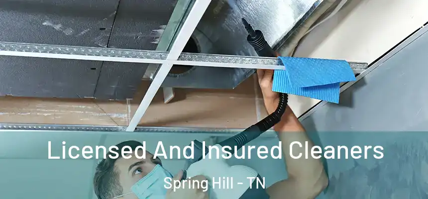 Licensed And Insured Cleaners Spring Hill - TN