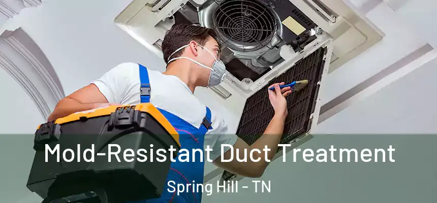 Mold-Resistant Duct Treatment Spring Hill - TN