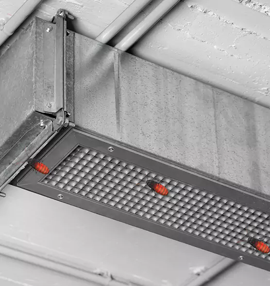 About Air Duct Cockroach Removal in Spring Hill, TN