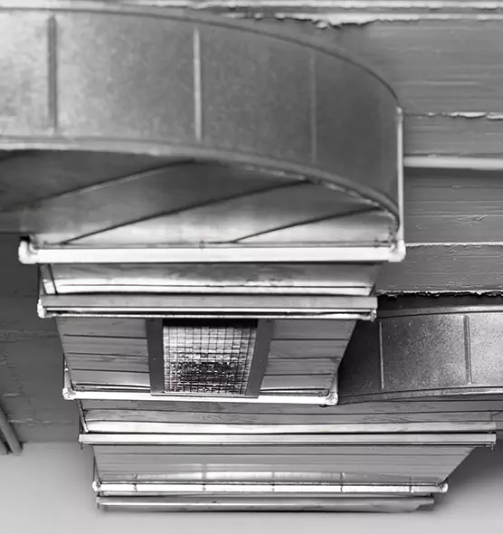 Professional Air Duct Pest Removal in Spring Hill, TN