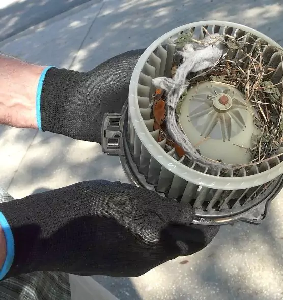 About Air Duct Rat Removal in Spring Hill, TN