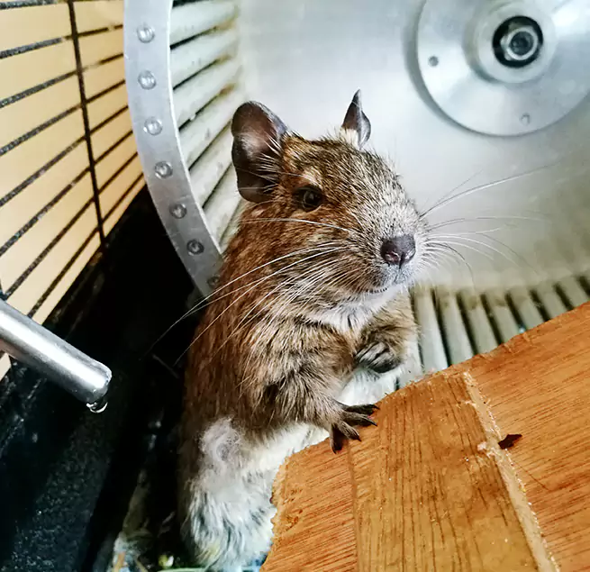 Why Homeowners & Businesses Trust Us Spring Hill, TN?